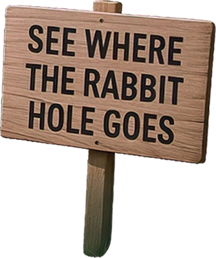 See where the rabbit hole goes